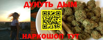 гидропоника Будённовск