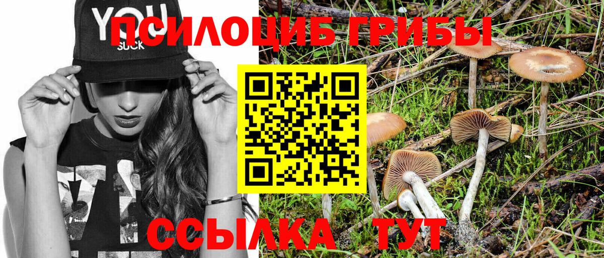Котлас  Галлюциногенные грибы GOLDEN TEACHER  Вход с VPN 
