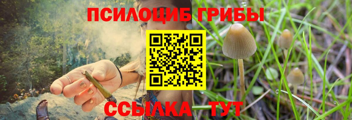 Галлюциногенные грибы ЛСД Котлас