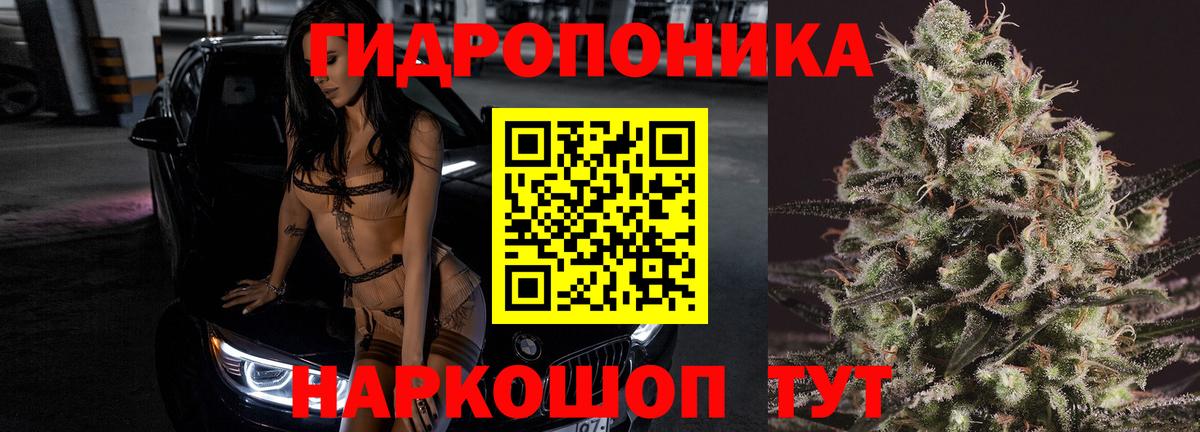Конопля сатива  Бошки Шишки марихуана  МАРИХУАНА конопля  Котлас  Шишки марихуана ГИДРОПОН  Вход с VPN 